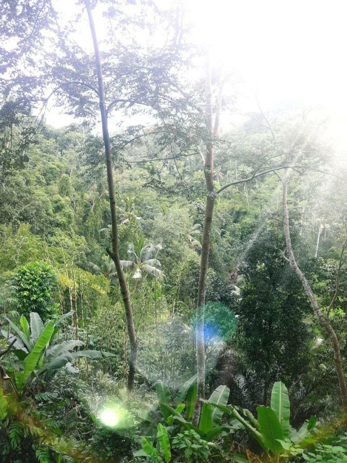 River Side House Ubud (Bali)
