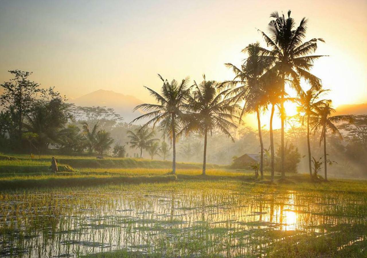 Puri Lotus Holiday park 4*