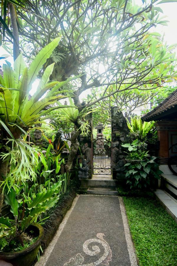 Shindu 8 Guest house