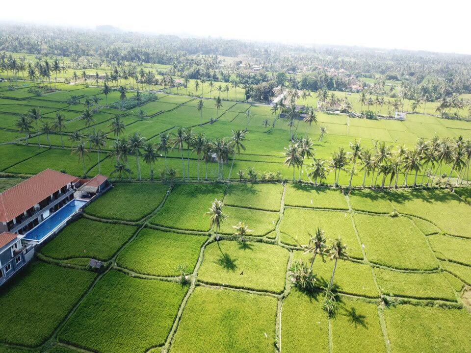 Resort The Sawah & Ubud (Bali)