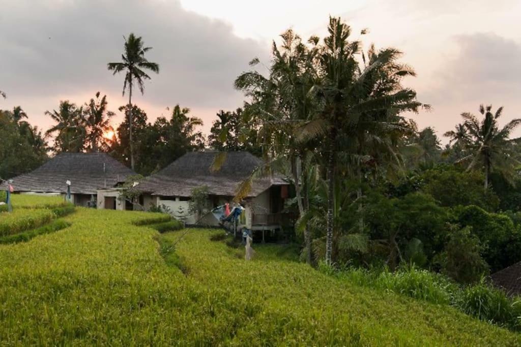 Uma-ijo Villa *