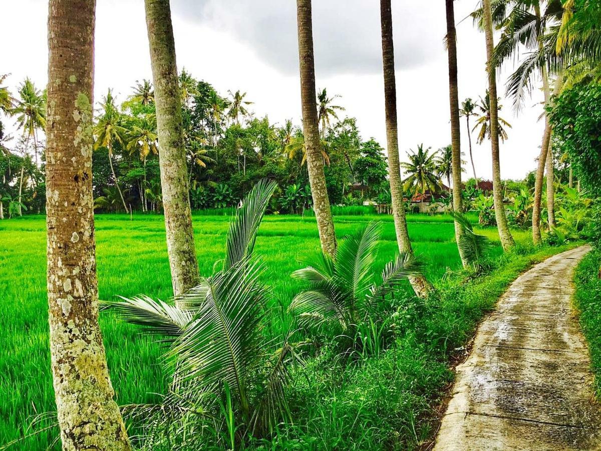 Sukra Kelod Villa Ubud (Bali)