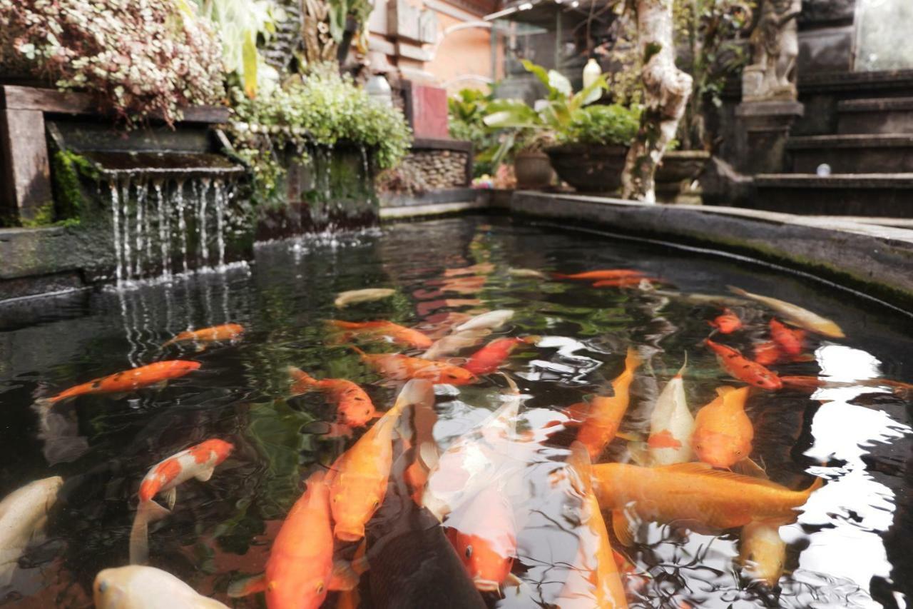 Ramaya View By Eps Homestay