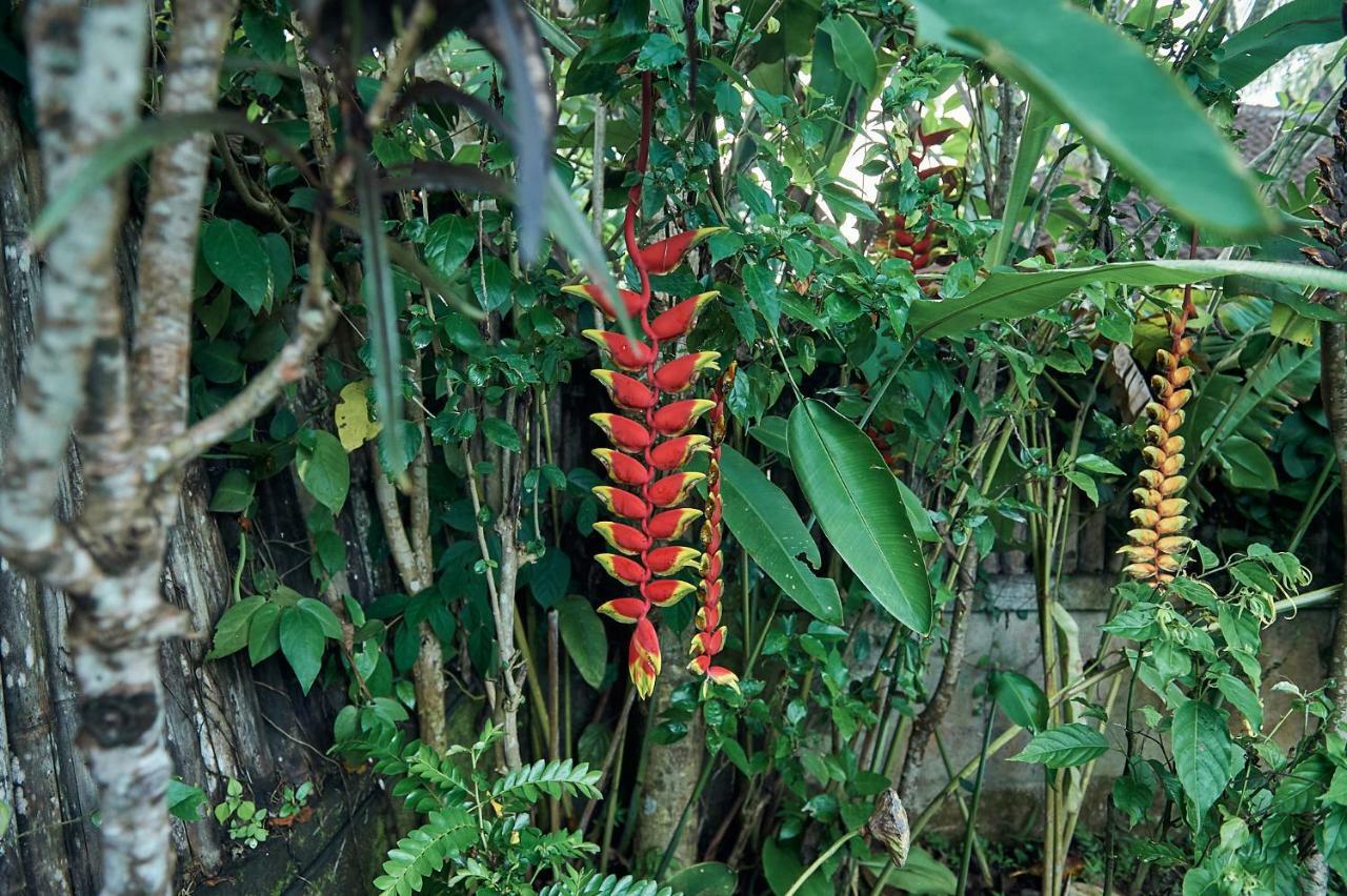 Lembah Sentosa Pensão