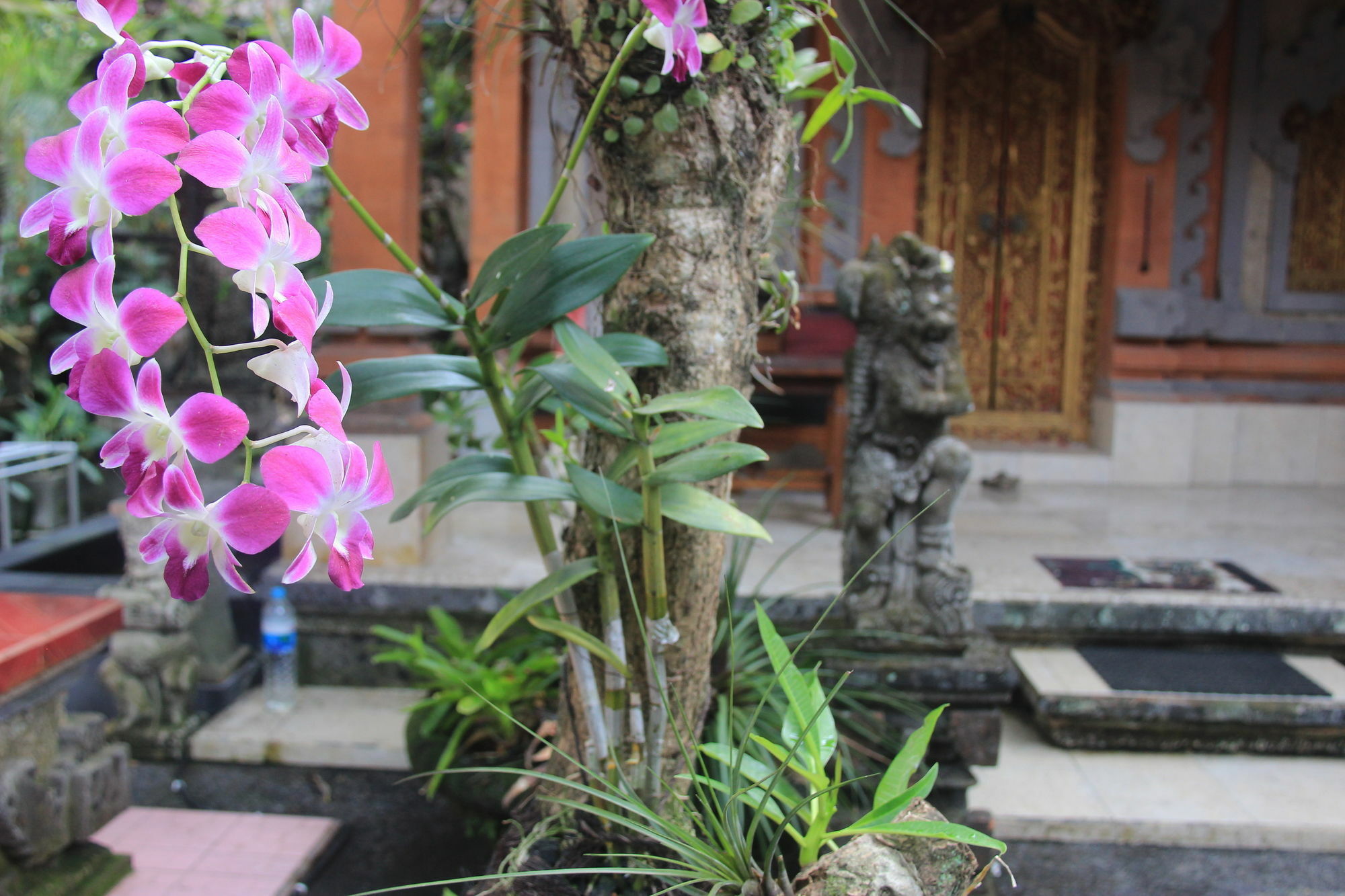 Lilacita Apartment Ubud