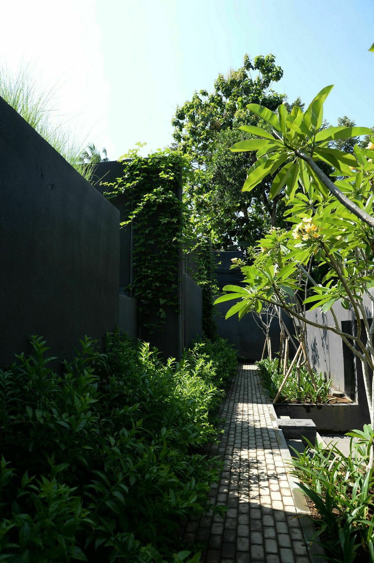 Origin Ubud
