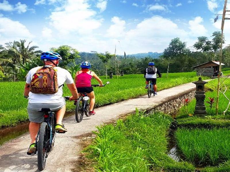 Omah D'taman By Eps Ubud (Bali)