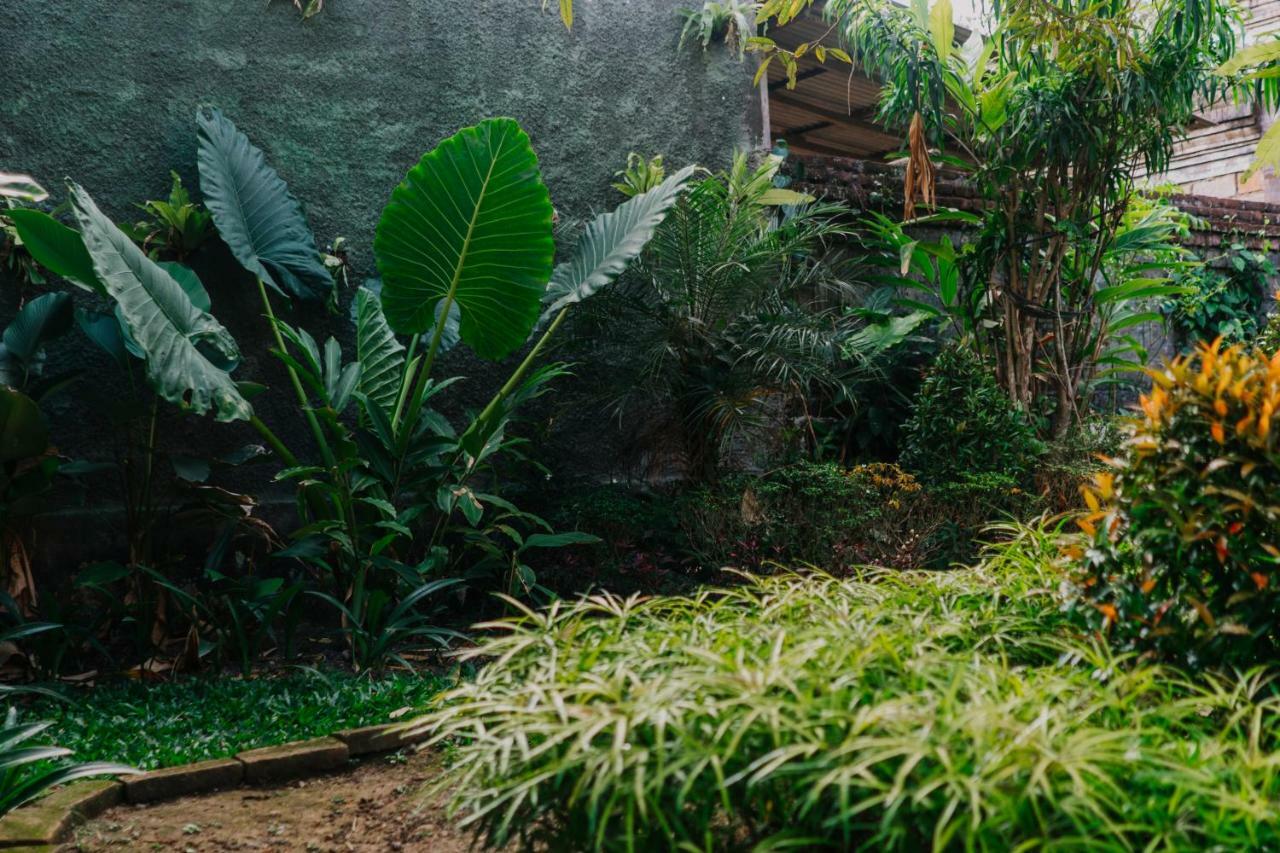 Rahayu Lodge Ubud (Bali)
