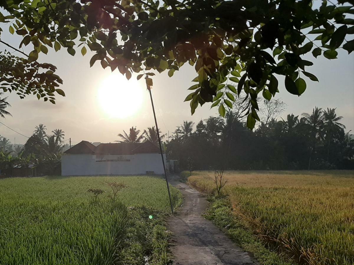 Villa The Satya