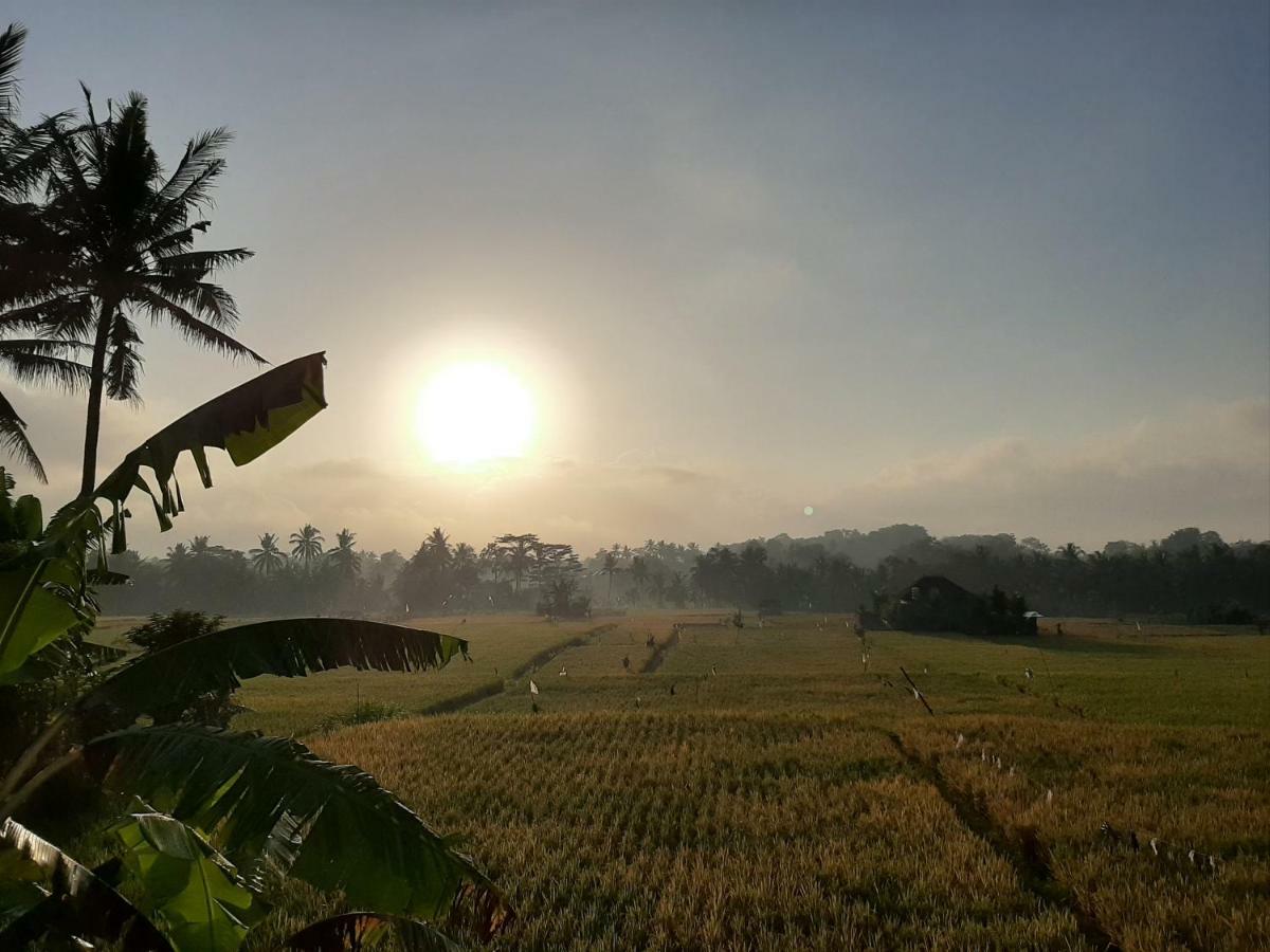 The Satya Villa Ubud (Bali)