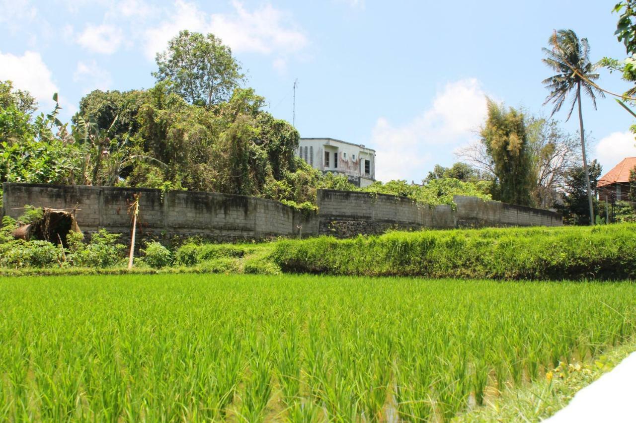 White Creative Campuhan * Ubud
