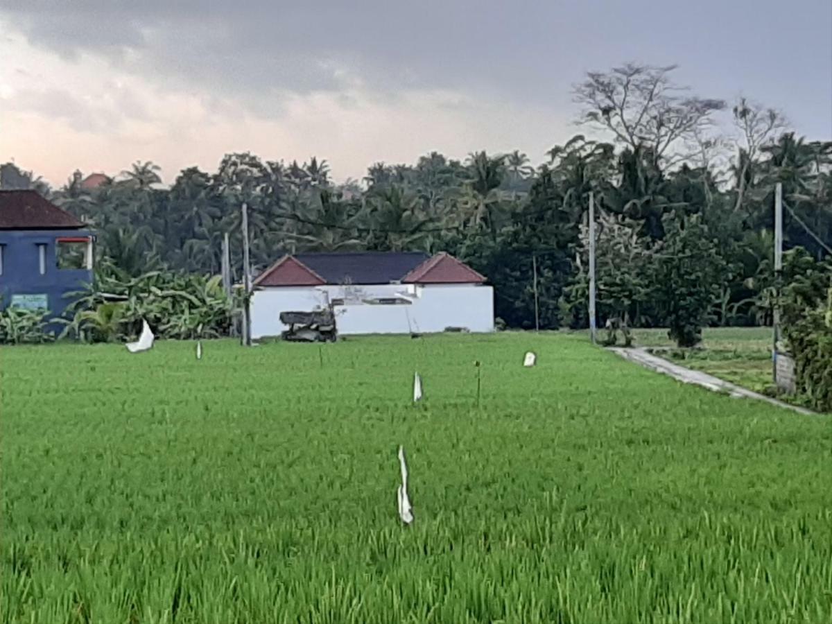 Villa The Satya *