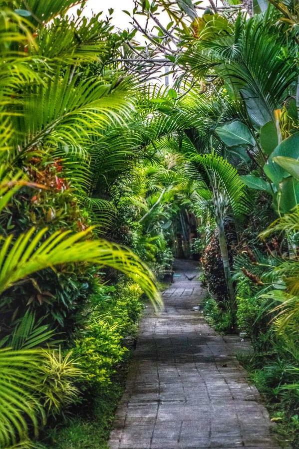 The Sawah & Ubud (Bali)