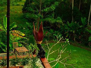 Deta Junjungan Rice Field Holiday park