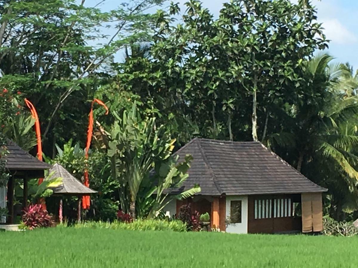 Puri Raya Villa Ubud (Bali)
