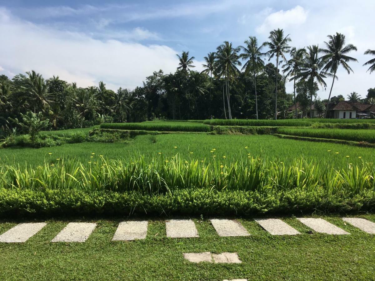 Puri Raya Ubud (Bali)