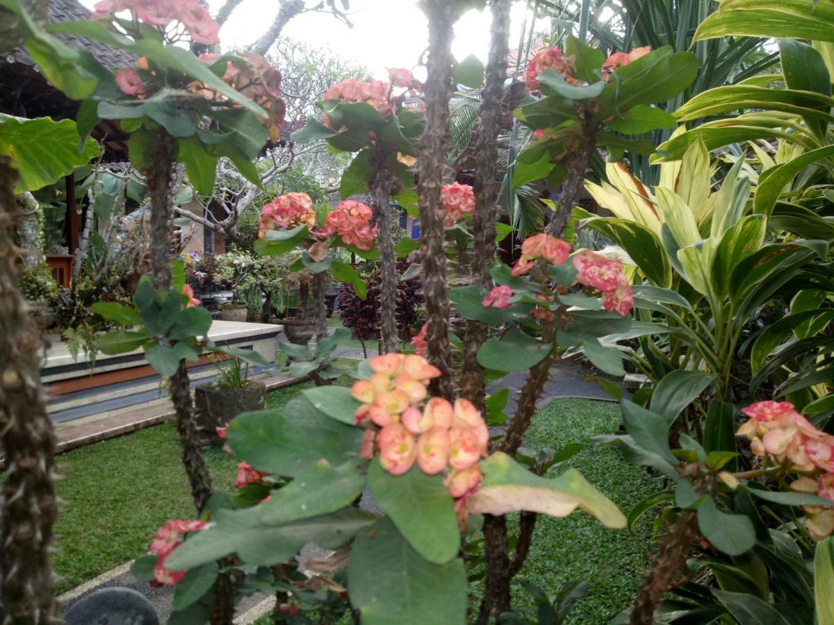 Suryadina * Ubud (Bali)