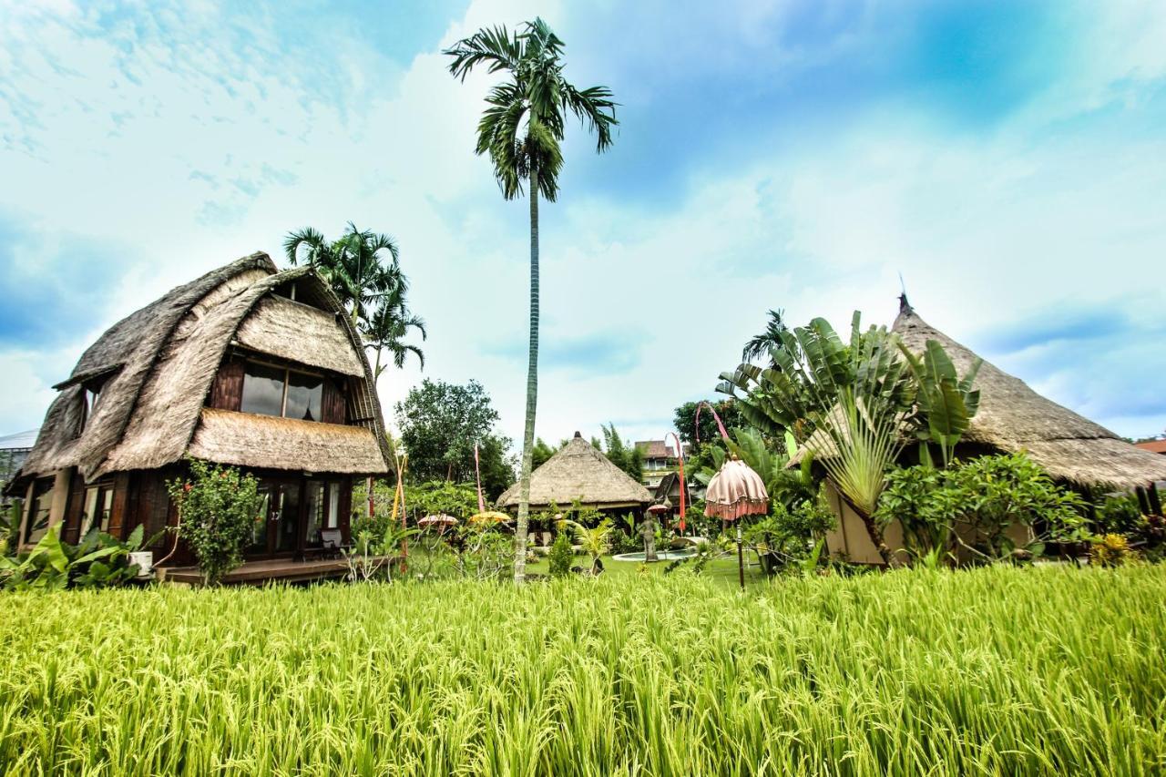 Hidden Yone Village Ubud (Bali)