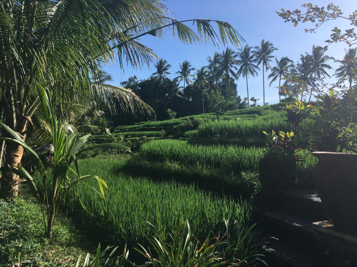 Puri Raya Villa Ubud (Bali)