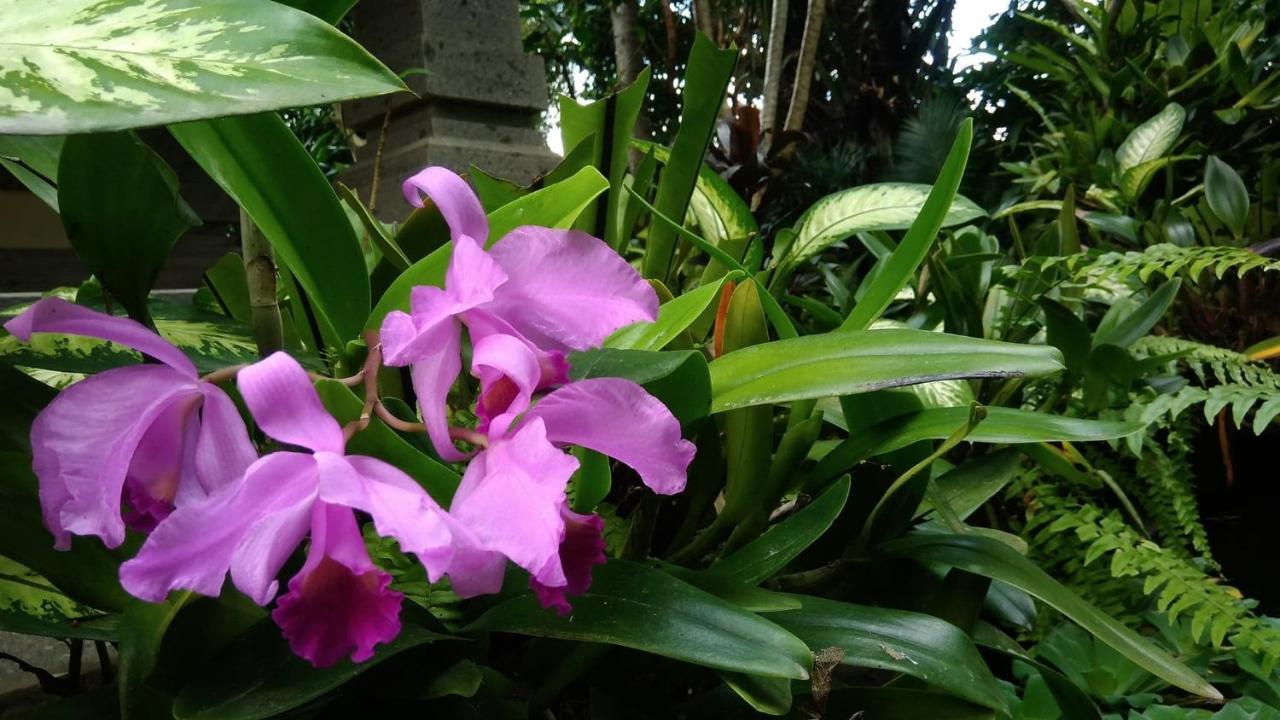 Prasanti Ubud (Bali)