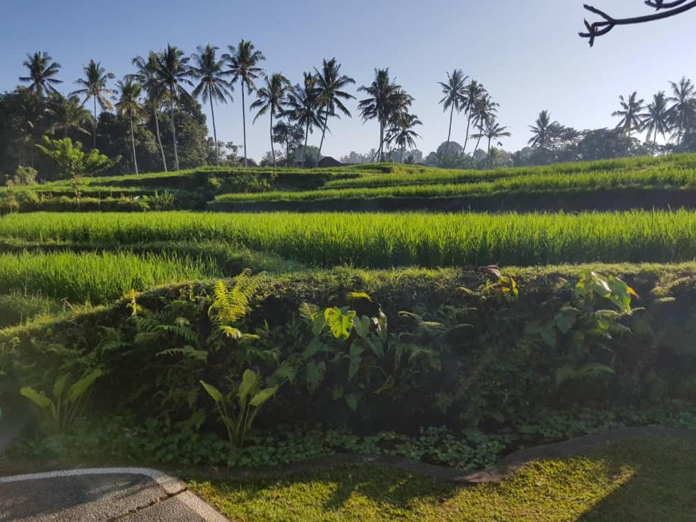 Puri Raya Villa Ubud (Bali)
