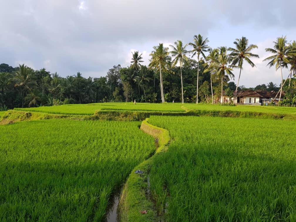 Villa Puri Raya *