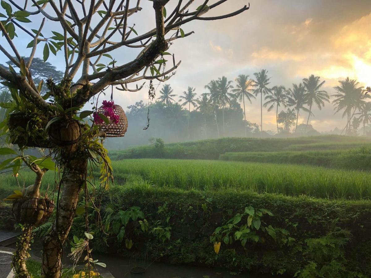 Puri Raya Villa Ubud (Bali)