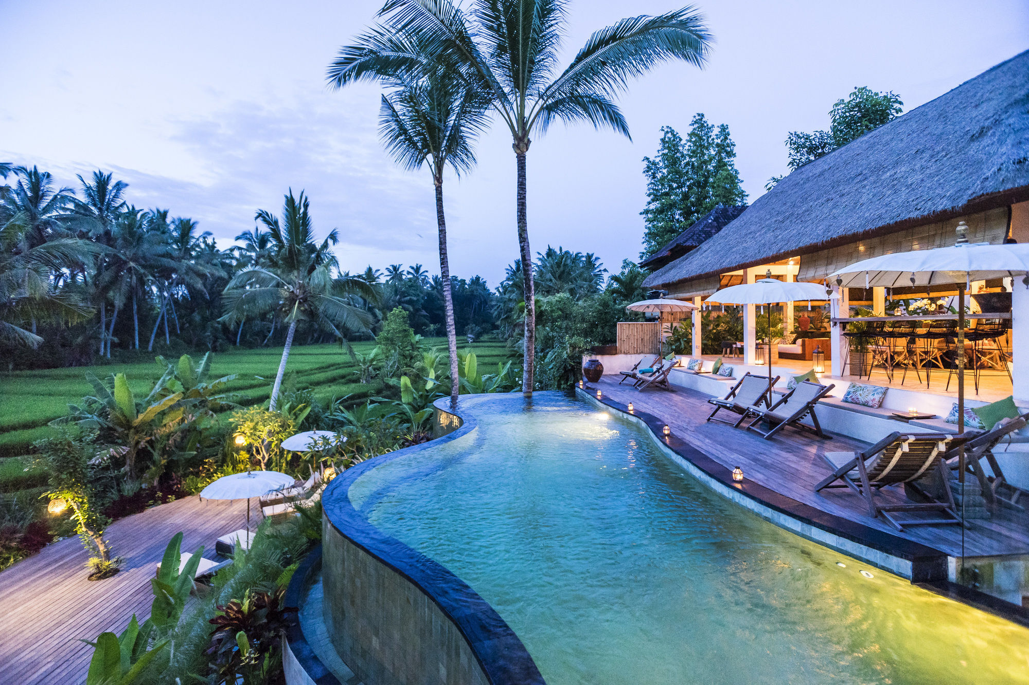 Hotel Calma & - Rice Fields View, Infinity Pool ! Ubud (Bali)