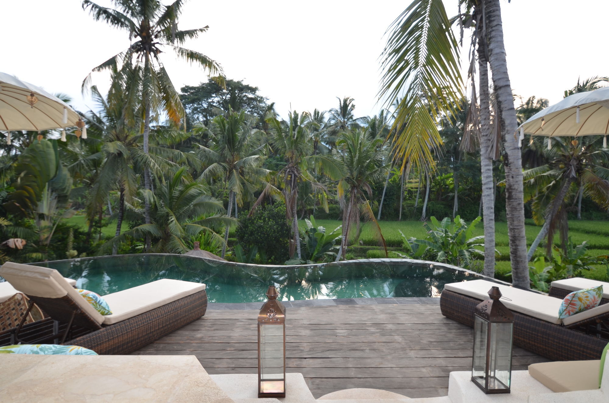 Calma & - Rice Fields View, Infinity Pool ! 4*