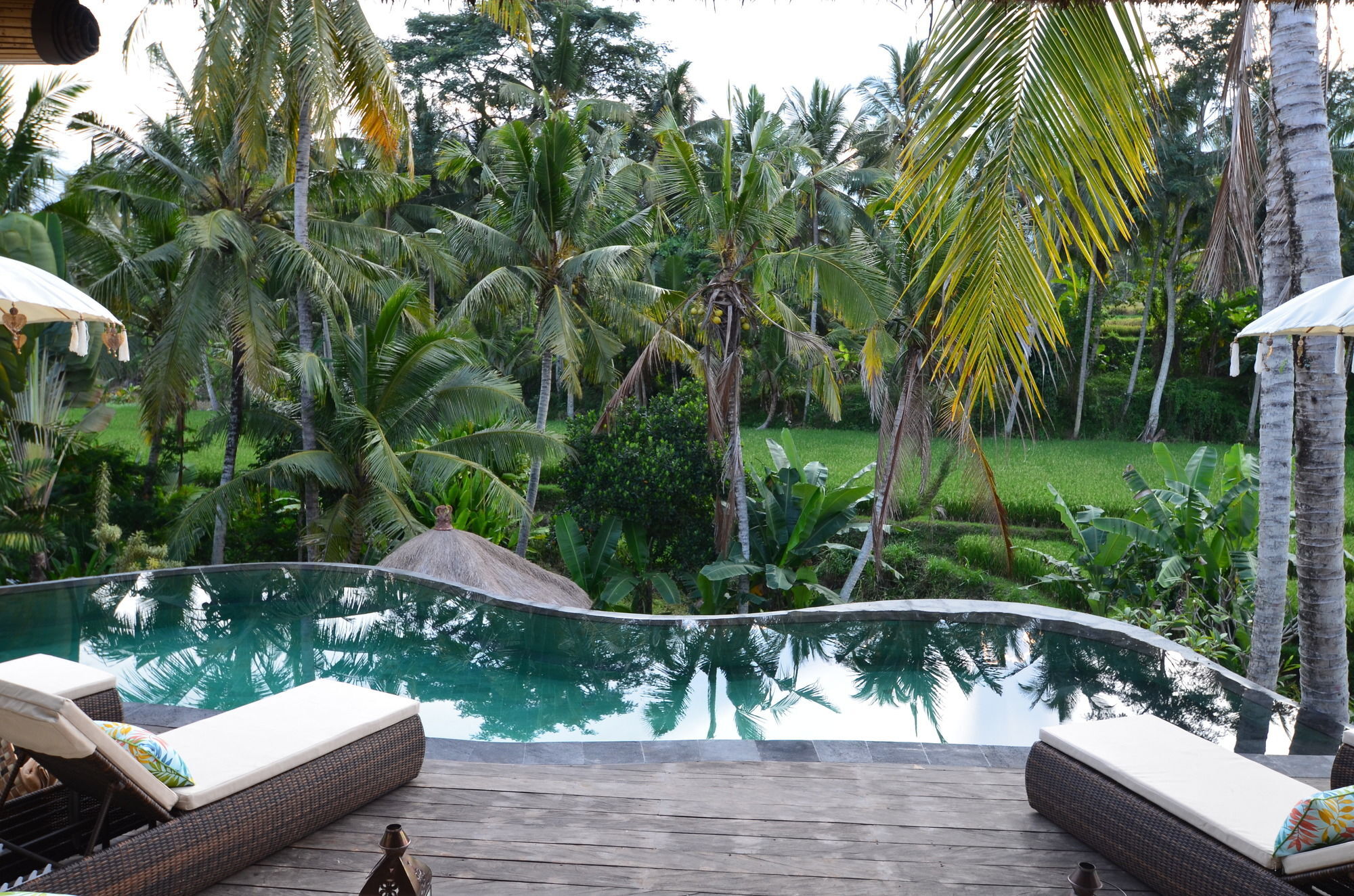 Calma & - Rice Fields View, Infinity Pool ! 4* Ubud (Bali)