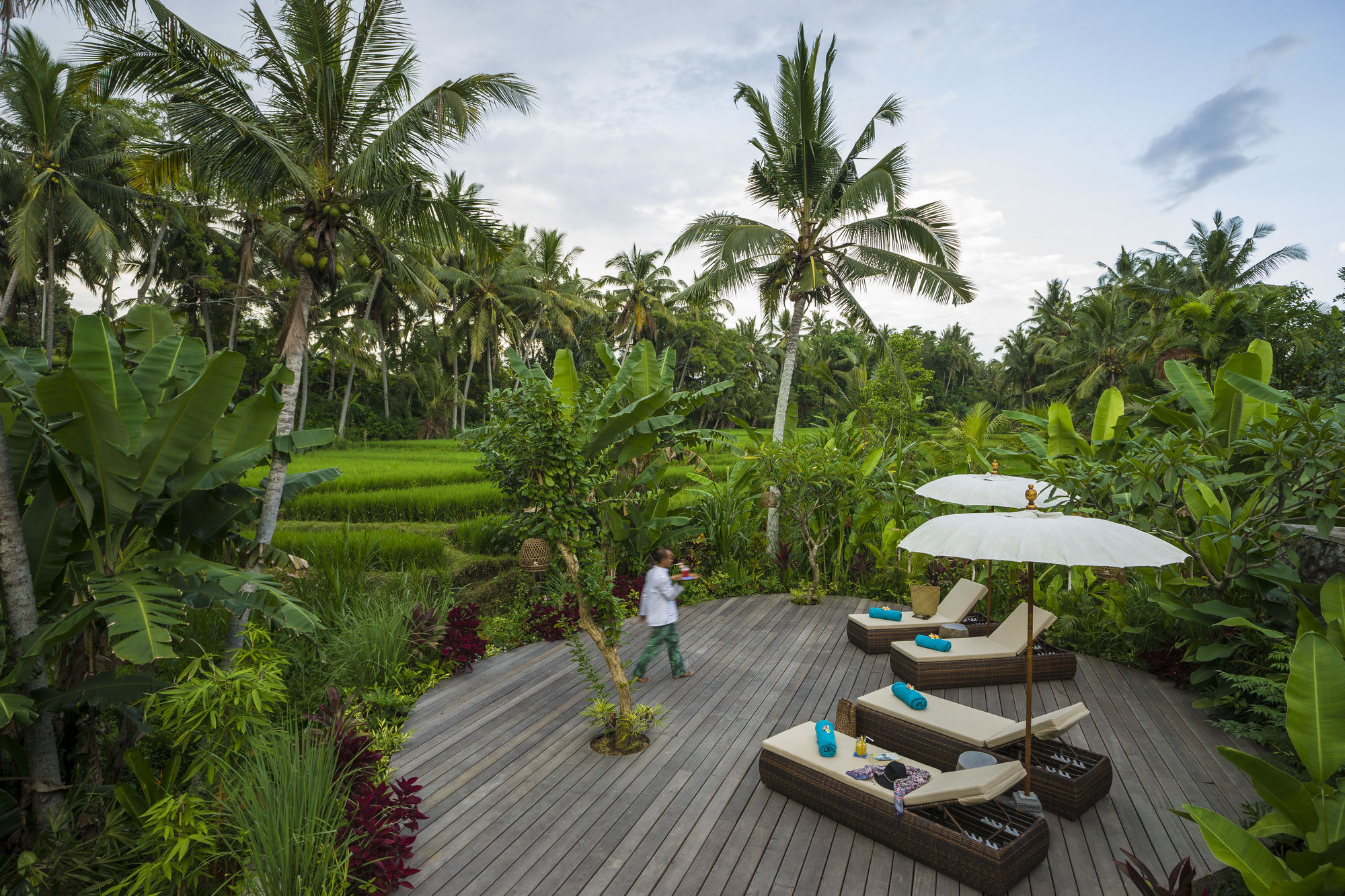 Hotel Calma & - Rice Fields View, Infinity Pool !