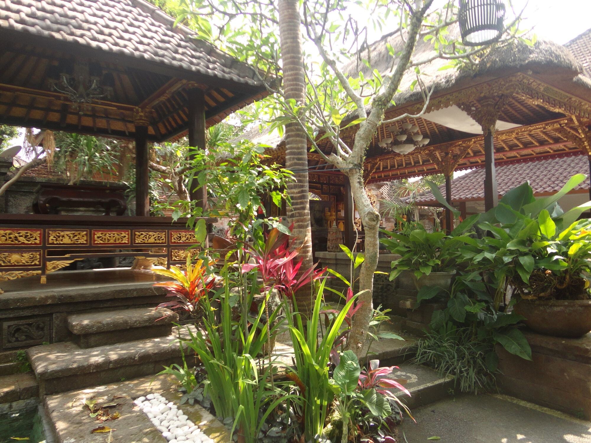 Monkey Forest 3*