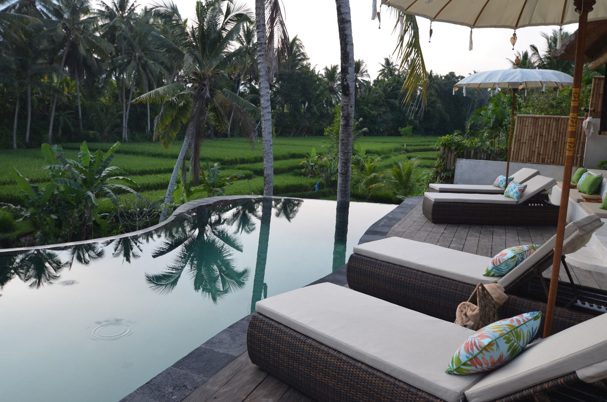 Hotel Calma & - Rice Fields View, Infinity Pool ! 4*