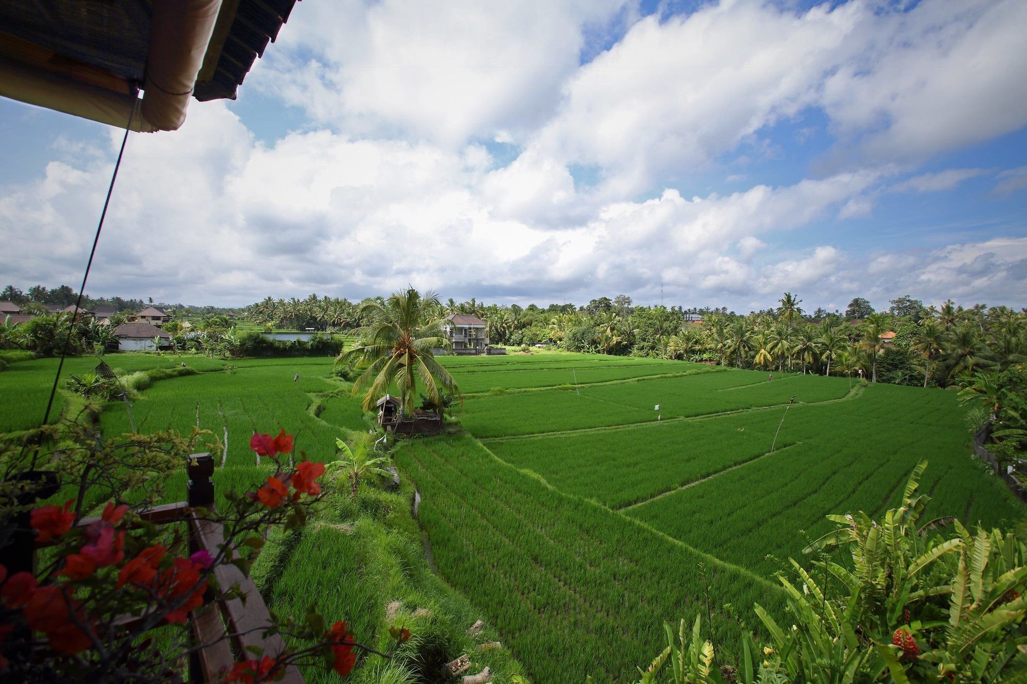 Pousada Satori Bali Ubud