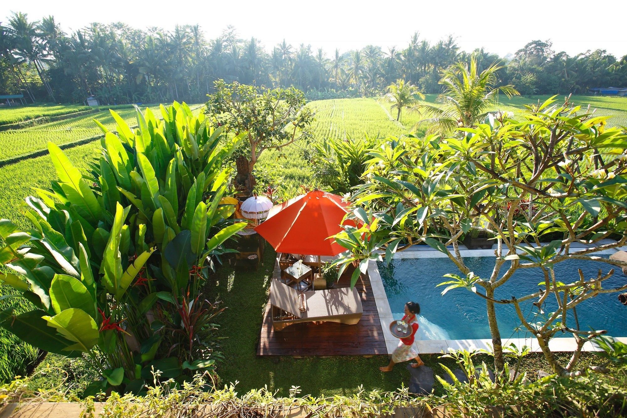 Satori Bali Pousada Ubud