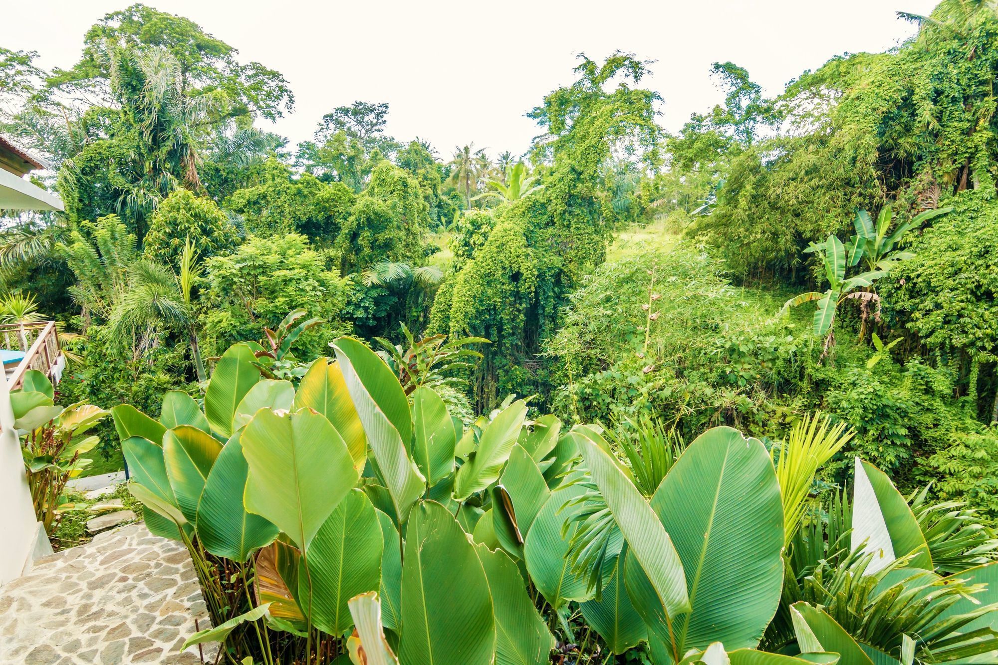 Zen River Side, 1 Bedroom 3* Ubud (Bali)