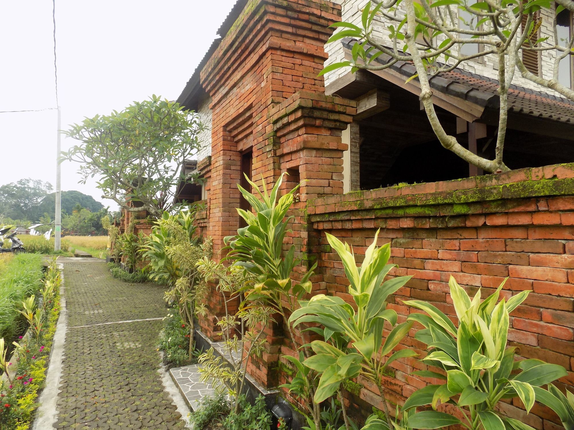 Candy * Ubud