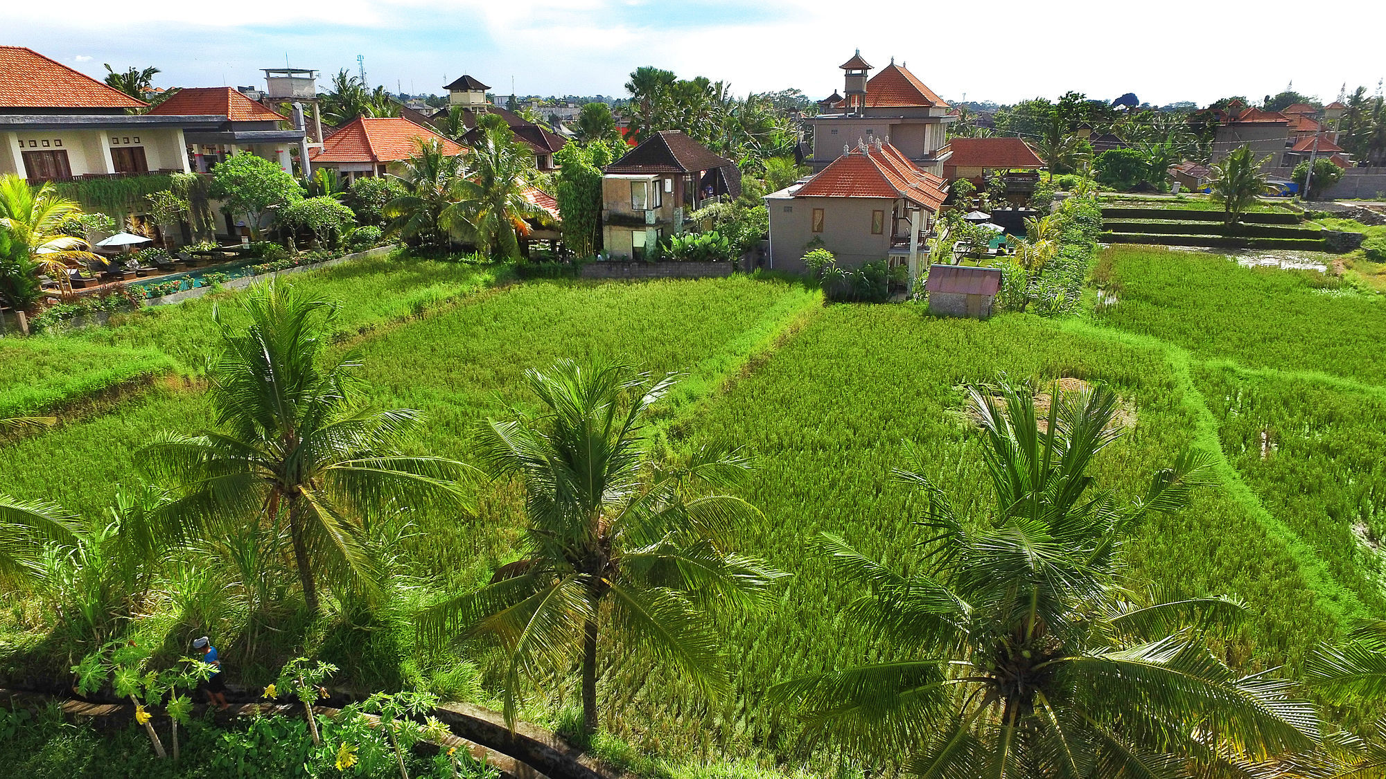 Bisma Hotel Ubud (Bali)