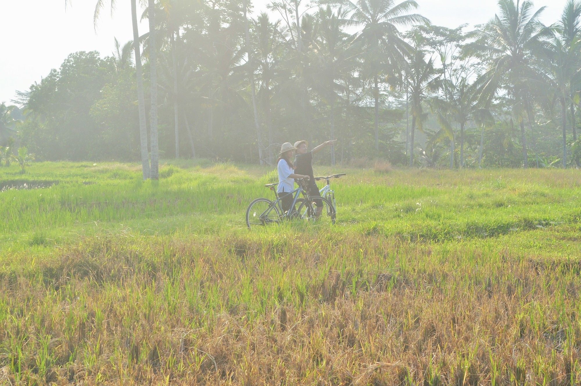 Resort Dedary & By Ini Vie Hospitality Ubud (Bali)