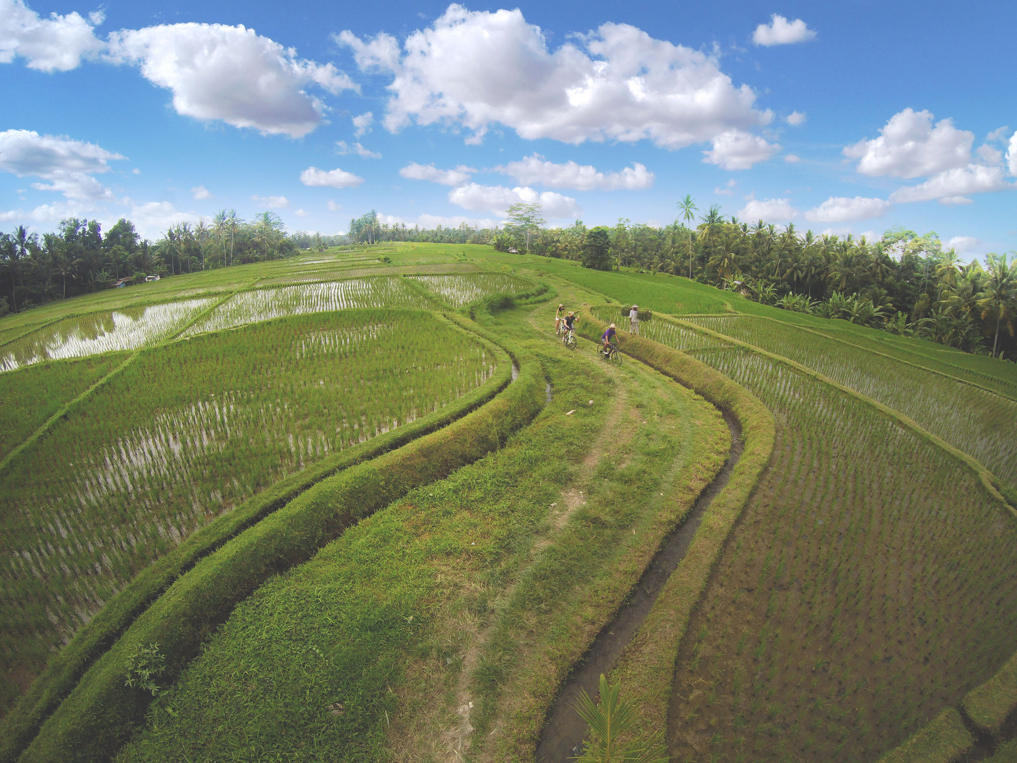 Resort Dedary & By Ini Vie Hospitality Ubud (Bali)