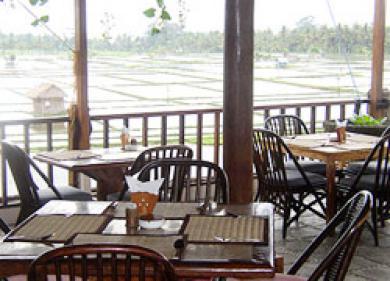 Apartment Padi Prada Ubud (Bali)