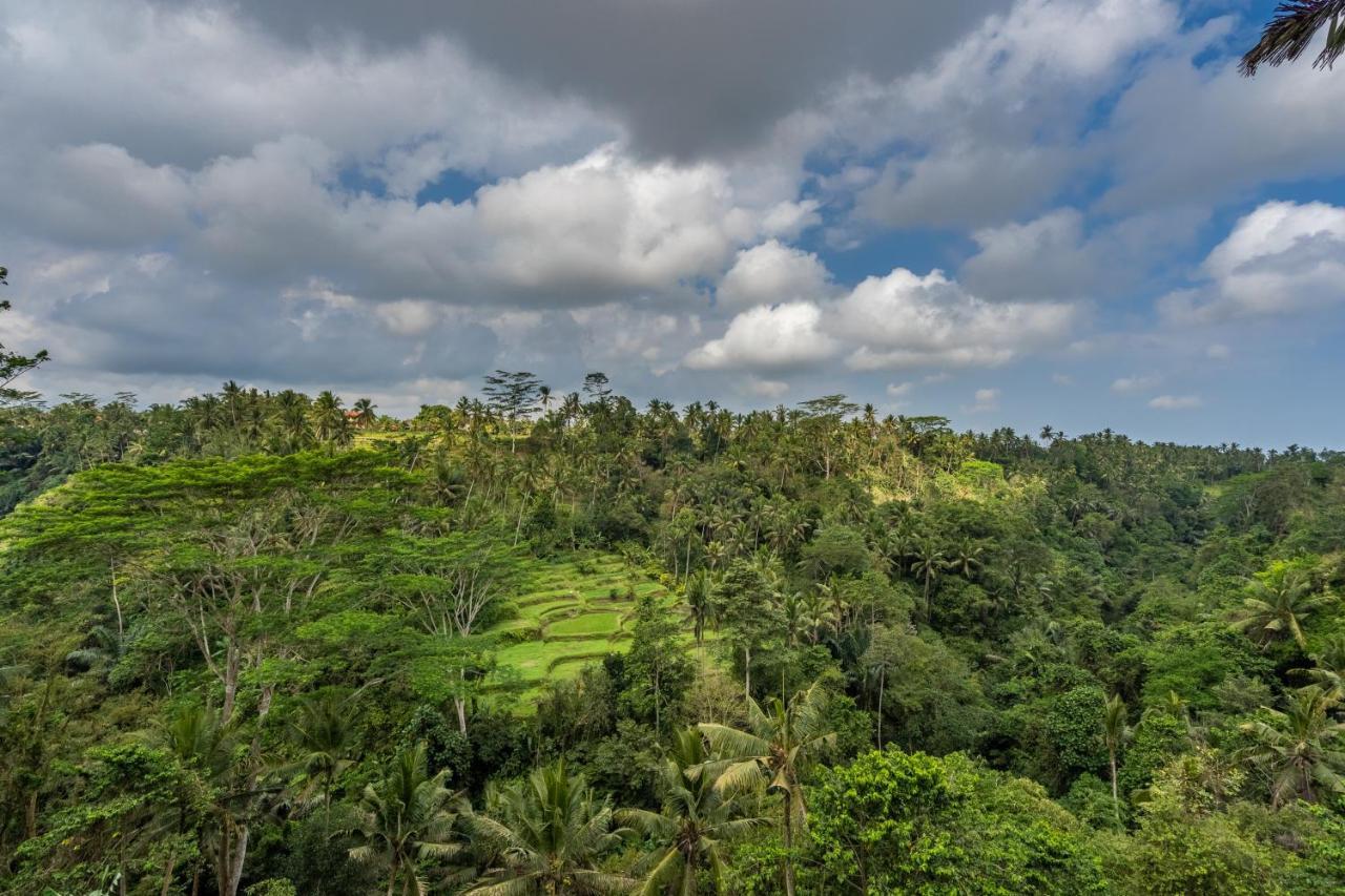 Taman liburan Tirta Asri Ubud (Bali)