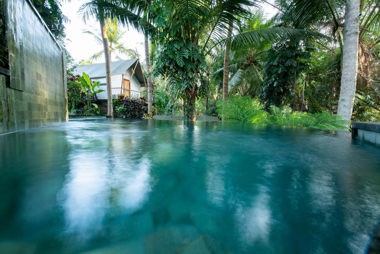 Tropical Hostel Ubud (Bali)