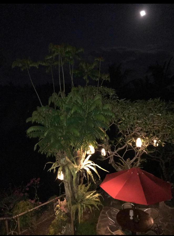 Bali Djodji Vila *