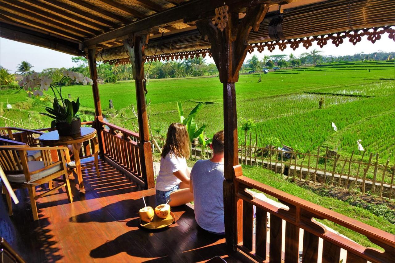 Guest house Beta Sunset Joglo *