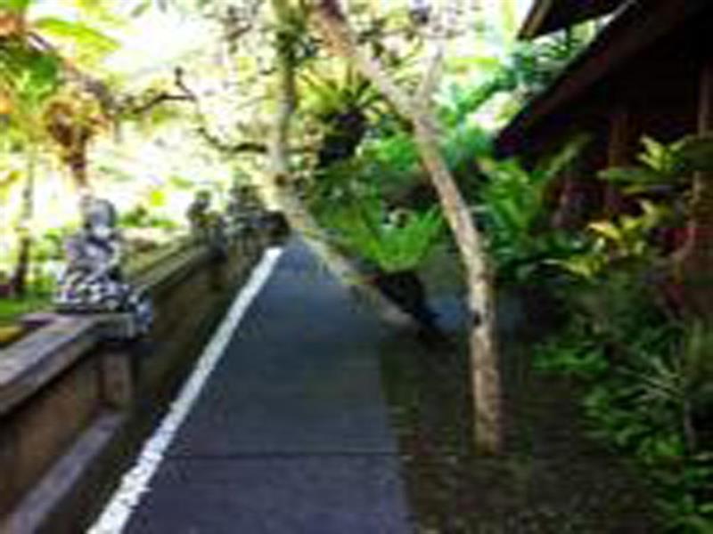 Jati Guest house 2*