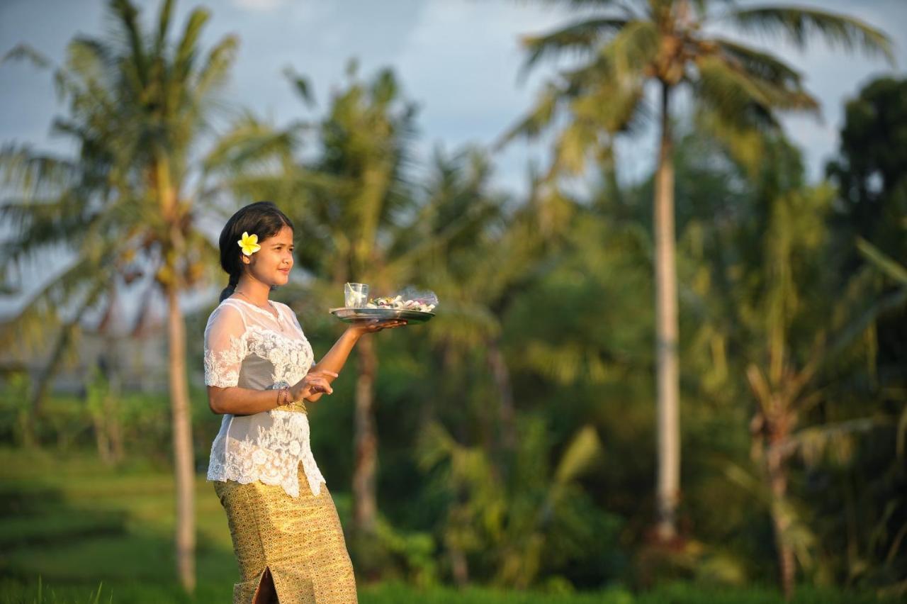 Bed & Breakfast Jegeg Mas Ubud (Bali)
