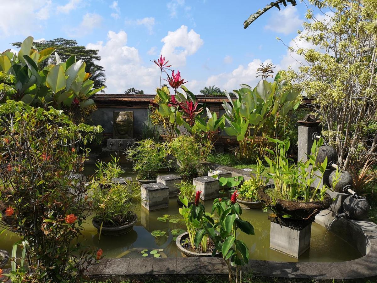 Rumah Sungai 3* Ubud (Bali)