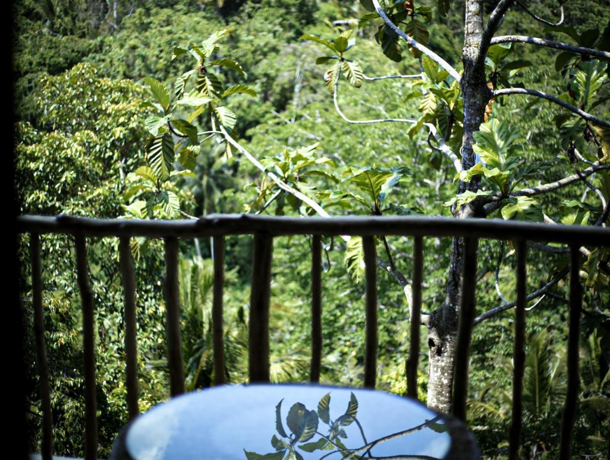 Guest house Angsoka 3*