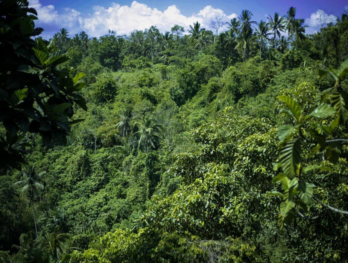 Angsoka Ubud (Bali)